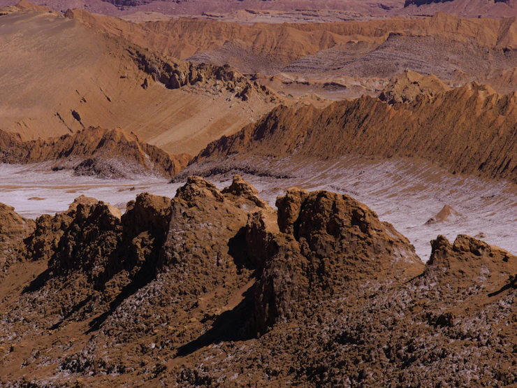 Sensation in der Wüste: Jenaer Forscher entdecken 200 Millionen Jahre alte Fossilien