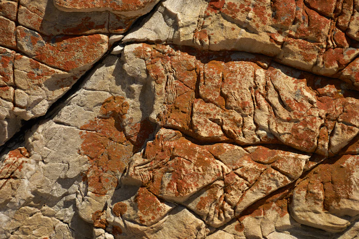 Sensation in der Atacama-Wüste: Jenaer Forscher entdecken prähistorische Schatzkammer