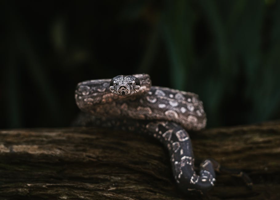 Achtung Autofahrer: Polizei blitzt am Sonntag in Jena-Leutra
