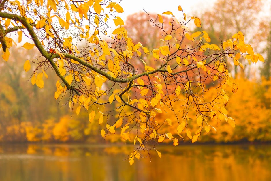 Eskalation an der Saale in Göschwitz: Angler feuert mit Zwille auf Kanufahrer