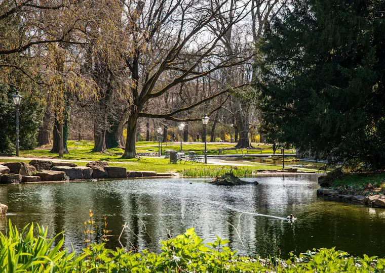 Symbolbild: Hohe Belastung durch Birke und Esche: Aktueller Pollenflug in Jena
