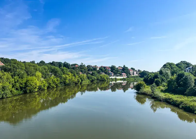 Symbolbild: Kostenloser Hochwasserschutz: NABU fordert mehr Raum für Biber