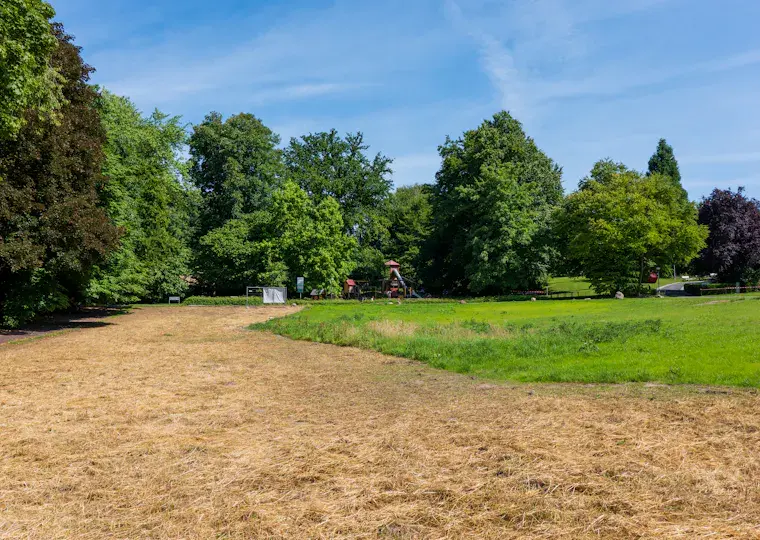 Symbolbild: Pollenalarm in Jena: Hohe Belastung durch Birke, Erle und Esche