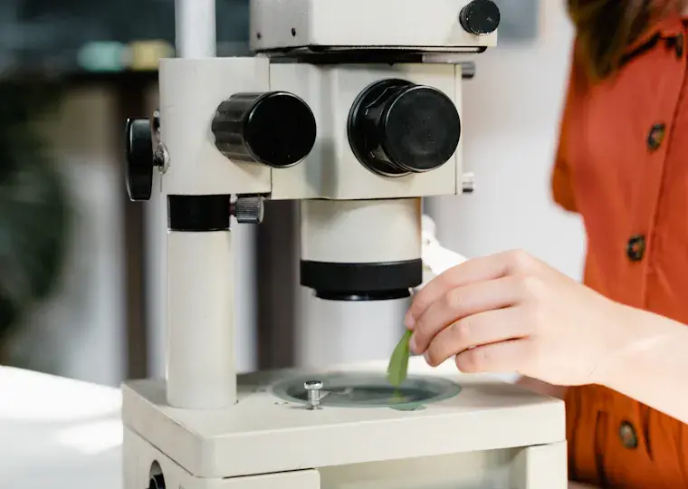 Symbolbild: 35. Landeswettbewerb „Jugend forscht“: Nachwuchswissenschaftler präsentieren 80 Projekte in der Jenaer ad hoc Arena