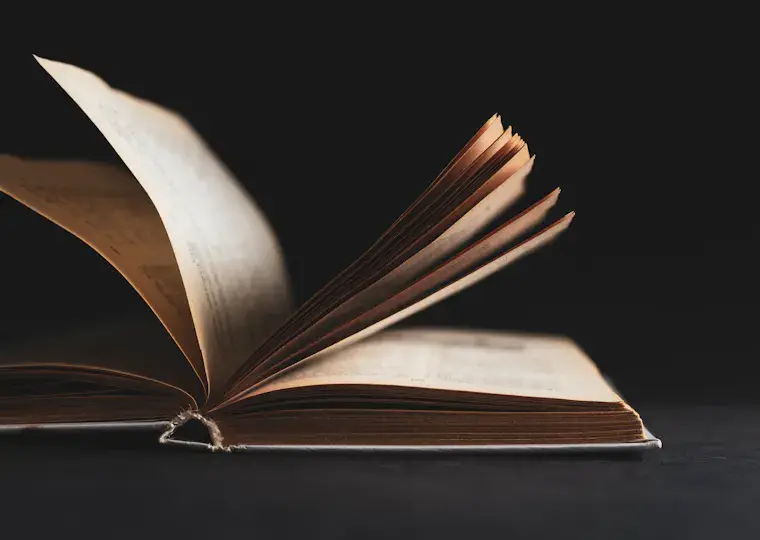 Symbolbild: Jubiläumsbuch zum 90. Geburtstag: Jena ehrt Künstlerin Gerlinde Böhnisch-Metzmacher