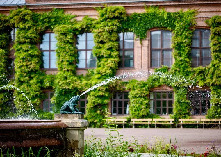 Symbolbild: Uni-Sommerfest in Jena: Feiern am Schillertag