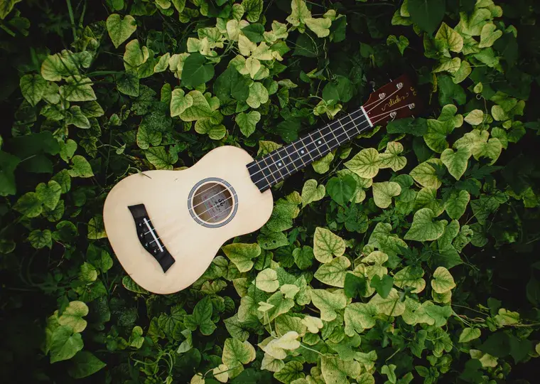Symbolbild: Ukulelefest in Jena: Singen im Botanischen Garten